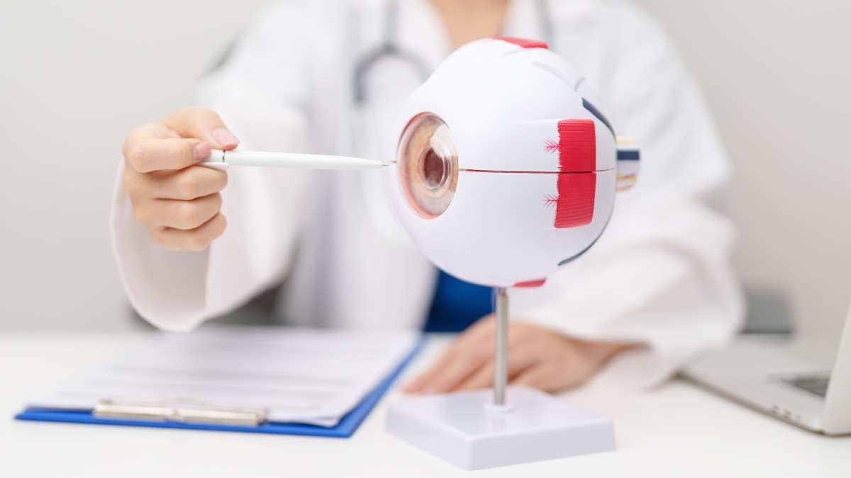 Chirurgien qui montre un modèle d'un oeil à un patient avant une opération.